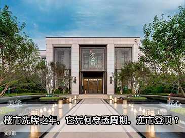 樓市洗牌之年，它憑何穿透周期，逆市登頂？
