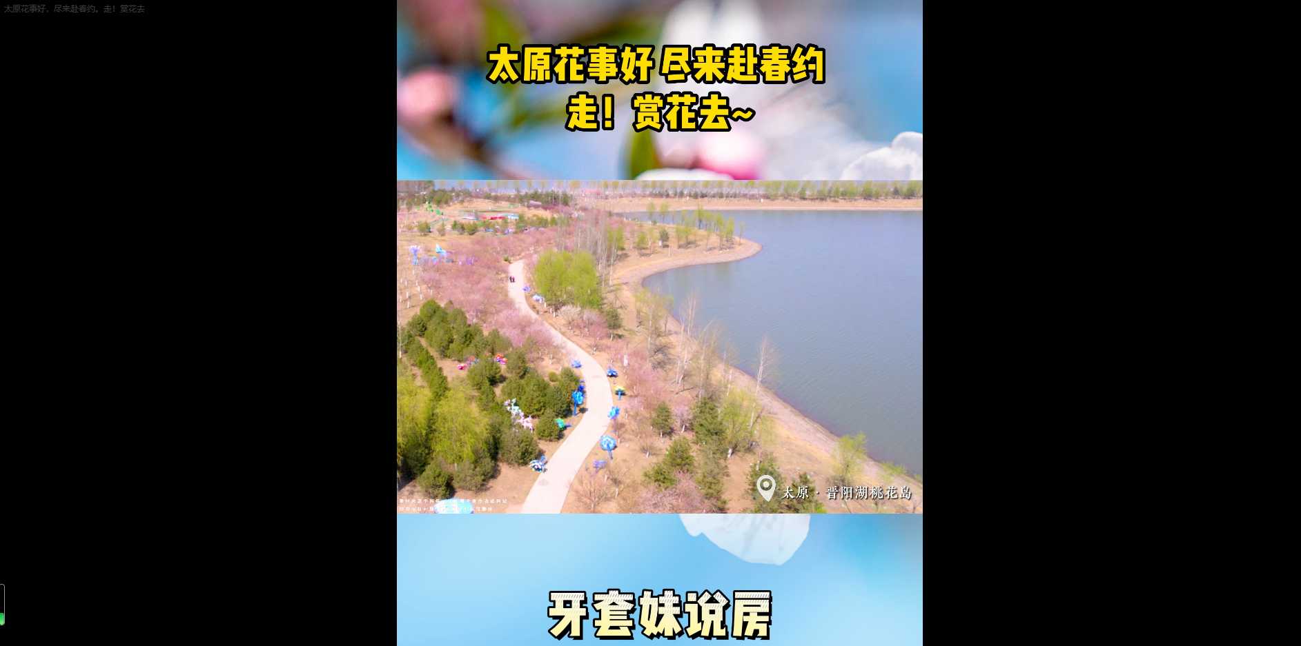【牙套妹說房】陽春三月 春風(fēng)送暖 你賞花了嗎？