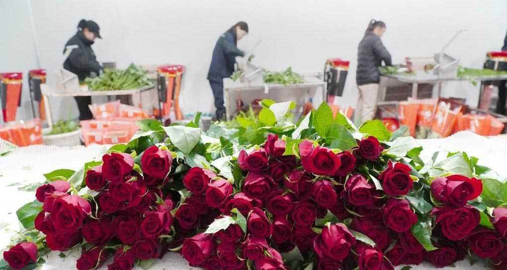 “千校萬企 協(xié)同創(chuàng)新”對(duì)接大會(huì)（山西）舉行